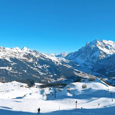 Abendrot Apartments-29 By Interhome Grindelwald